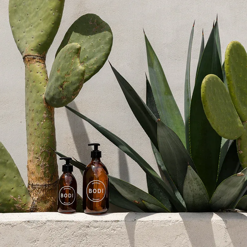 SoindeSoi-Bodi-Cactus.webp