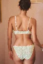 LaNouvelle-Soutien-Gorge-Jack-Wild-Green-Dos.webp