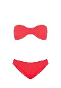 STRAWBERRY NEON Lory.webp